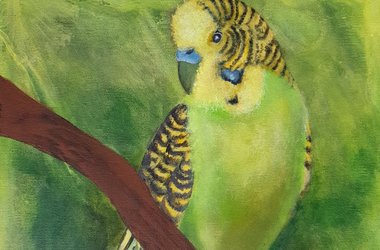 Wellensittich grün acryl Keilrahmen Bild Anke Buchmann Bramsche