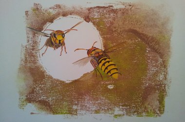 Wespen, Zeichnungen Anke Buchmann Acryl auf Papier Bramsche Kunst