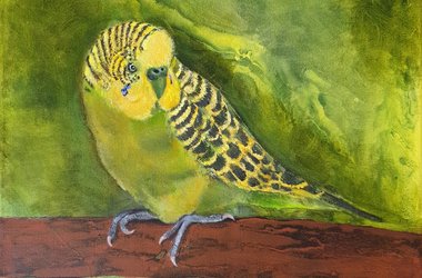 grüner Wellensittich acryl Bild Keilrahmen